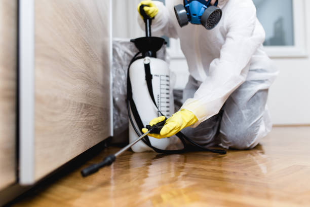 Best Pest Control Near Me  in Franklin Grove, IL