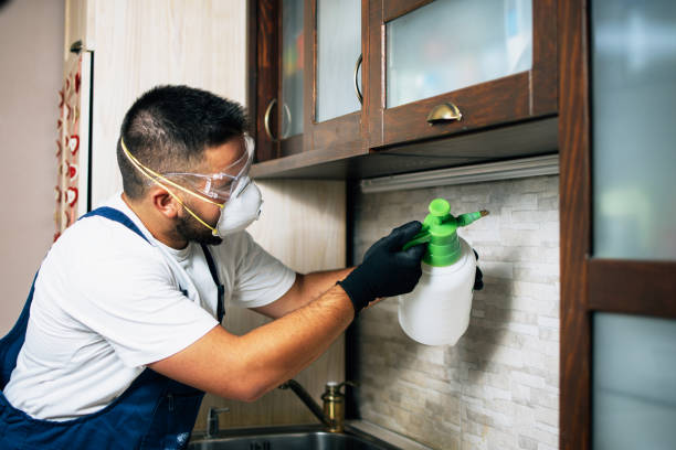 Best Residential Pest Control  in Franklin Grove, IL