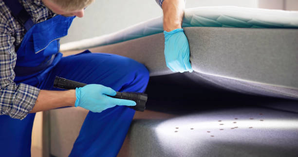 Best Pest Prevention Services  in Franklin Grove, IL