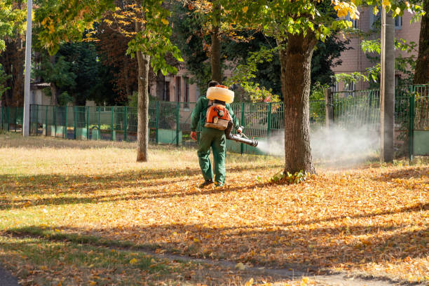 Professional Pest Control in Franklin Grove, IL