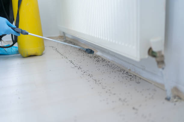 Best Cockroach Control Services  in Franklin Grove, IL