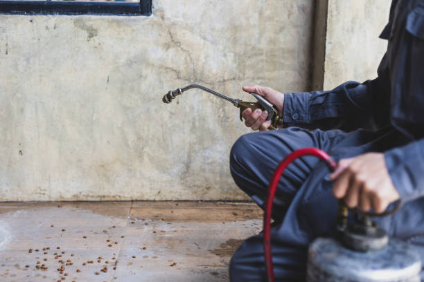 Best Mosquito Control Services  in Franklin Grove, IL