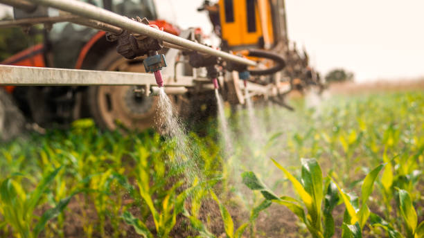 Best Pest Inspection Near Me  in Franklin Grove, IL